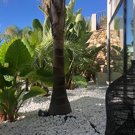 וילה Contemporaine Vue Mer-vignobles,piscine-spa סנרי-סור-מר
